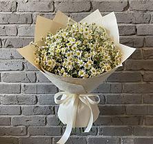 Букет цветов из:  Ромашки #REPLACE_PRED# Ельники