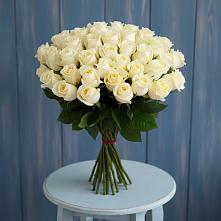 Букет 51 Белая роза Эдлесс Лав #REPLACE_PRED# Ельники