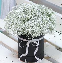 Цветочная композиция из Гипсофила в шляпной коробке #REPLACE_PRED# Ельники