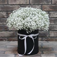 Цветочная композиция из Гипсофила в шляпной коробке #REPLACE_PRED# Ельники