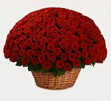 Премиум букет из: Розы в Ельники